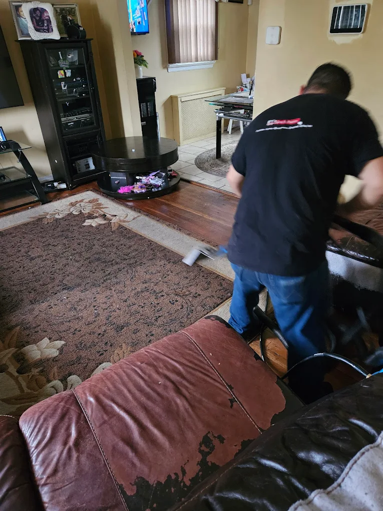 Pet Stain & Odor Removal on Long Island by our crew
